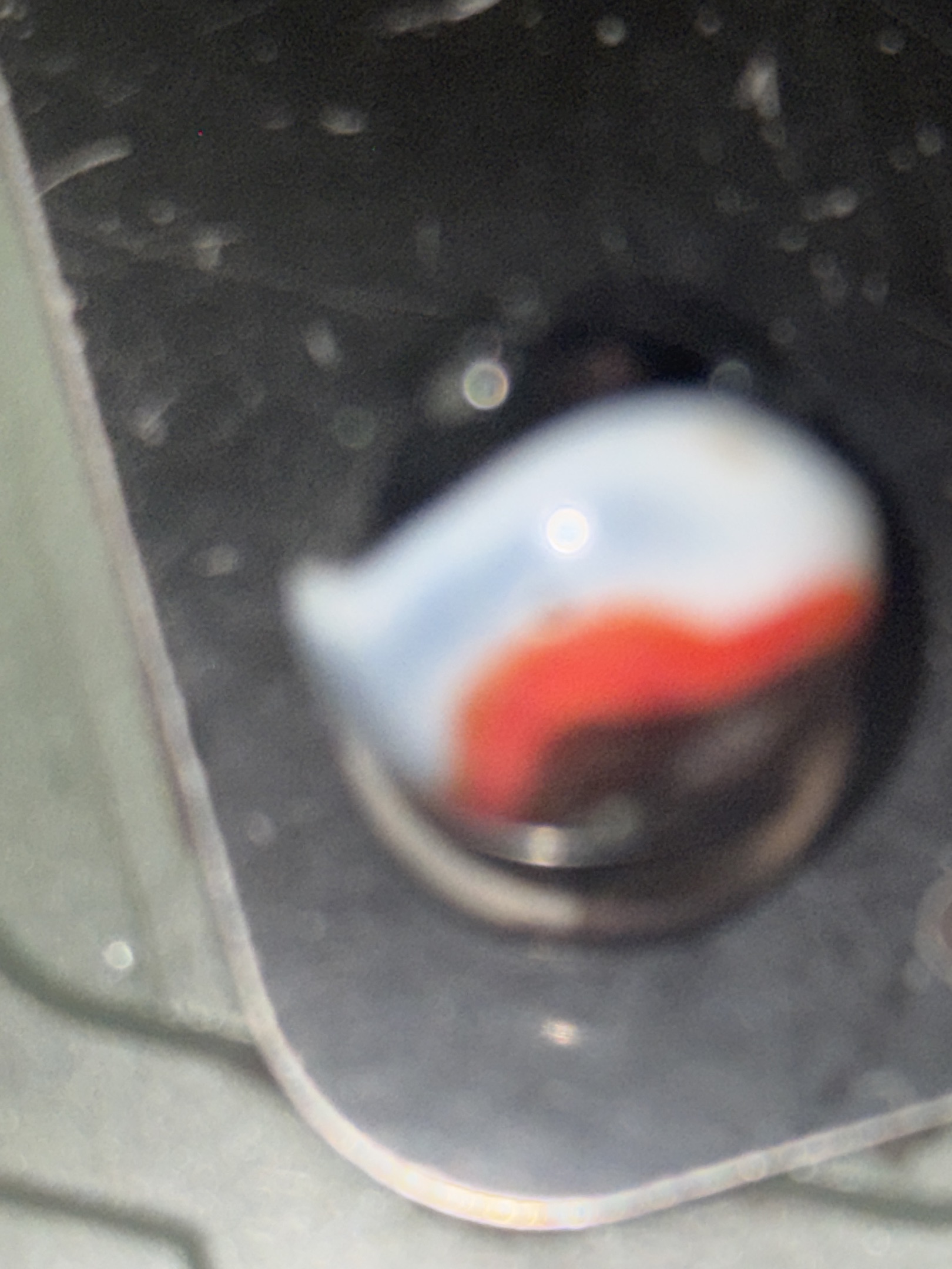 Red and White Special by Akro Agate, identification view