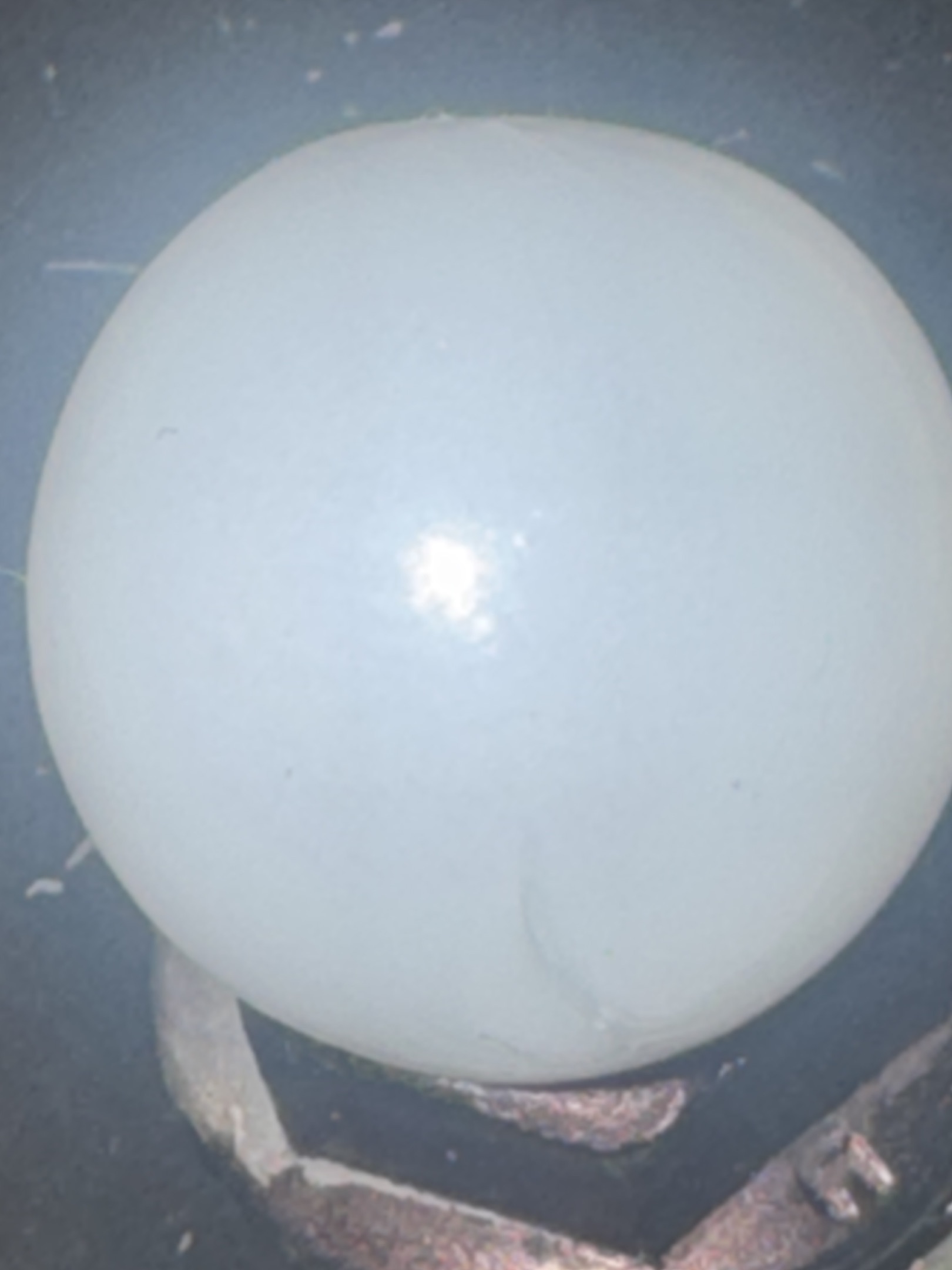 White Milk Opaque - White Moonstone by Vitro Agate, identification view