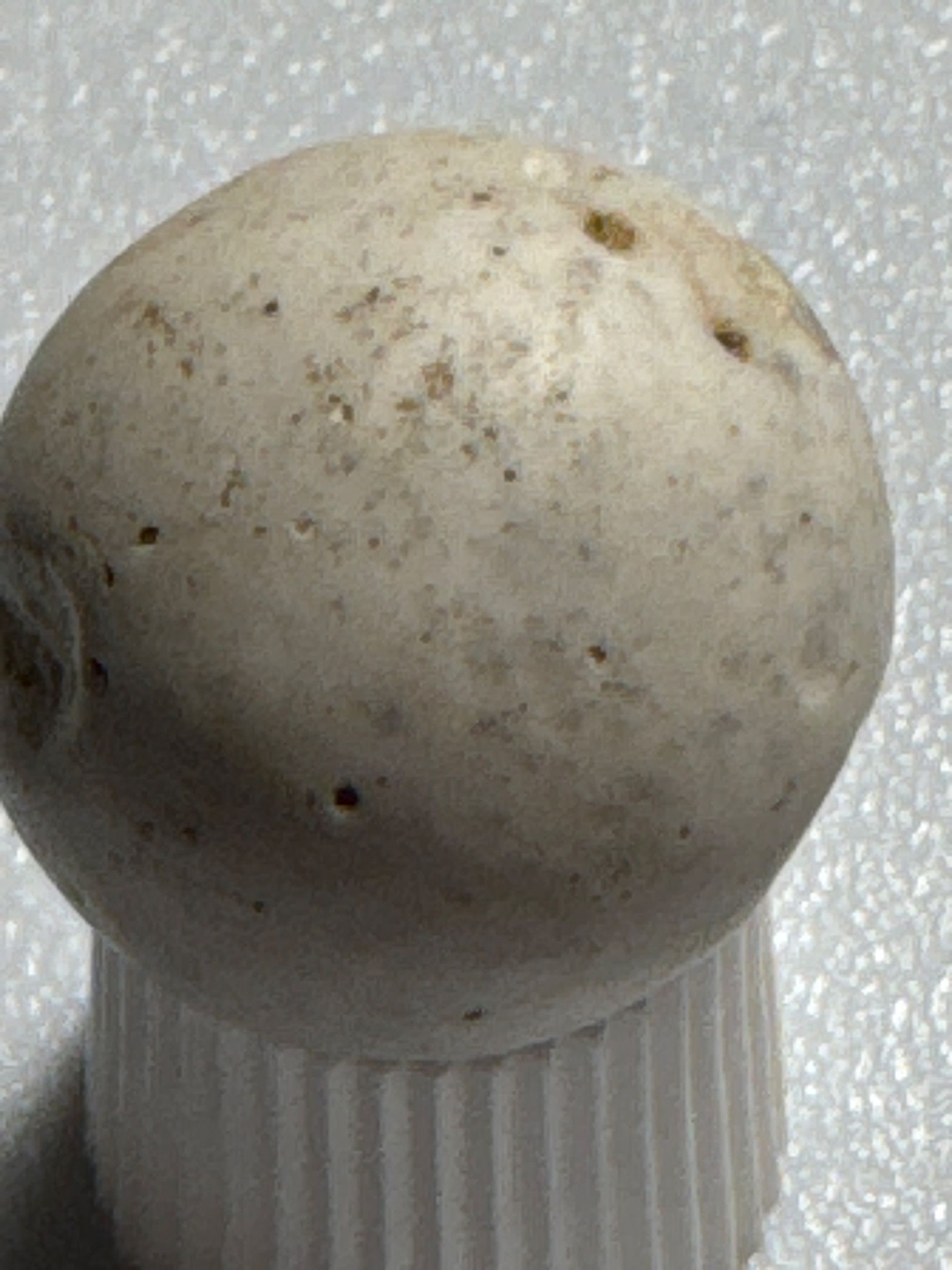Limestone by Unknown (Hand-ground)