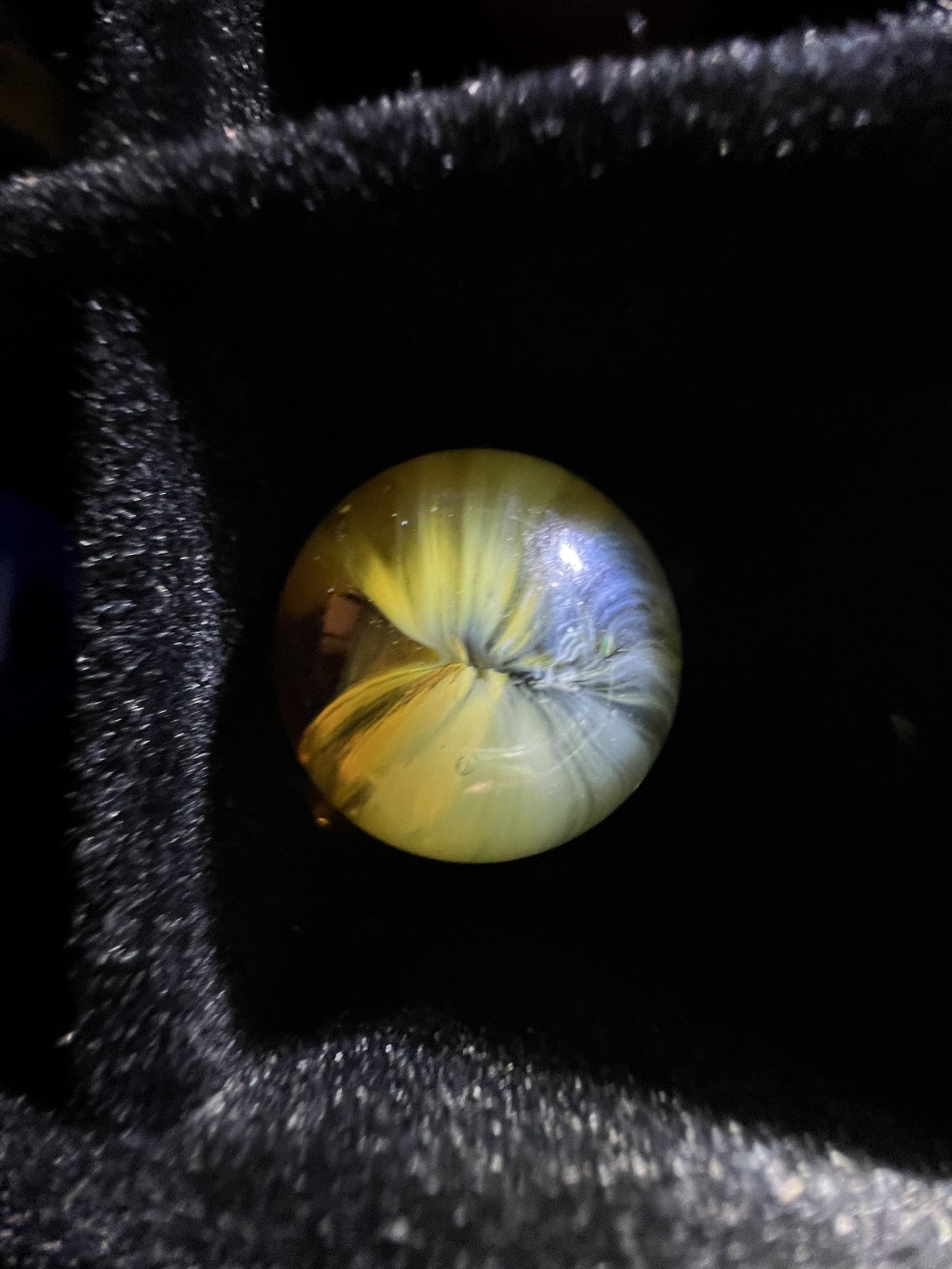 Yellow and White Sunburst by Master Marble Company, identification view