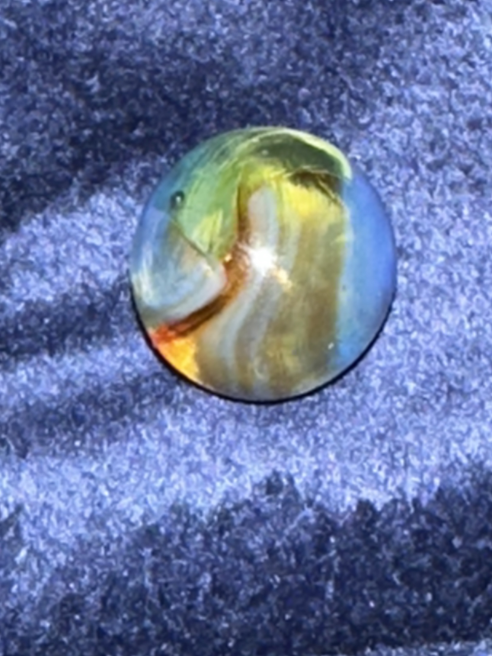 Tri-Lite by Vitro Agate Company, identification view