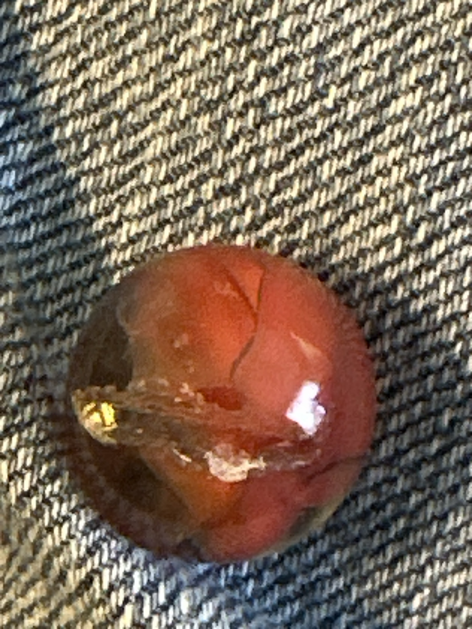 Red Conqueror / Tiger Eye by Vitro Agate Company, identification view