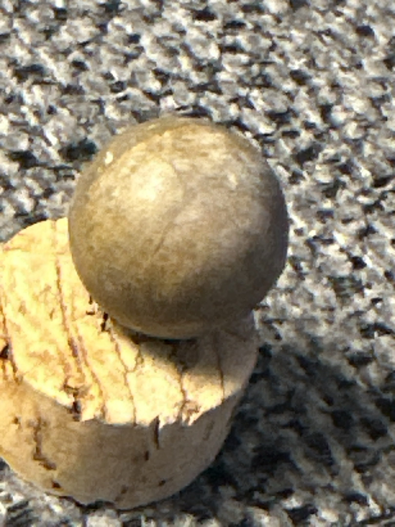 Natural Clay (Common Brown) by Unknown / Non-Industrial, identification view