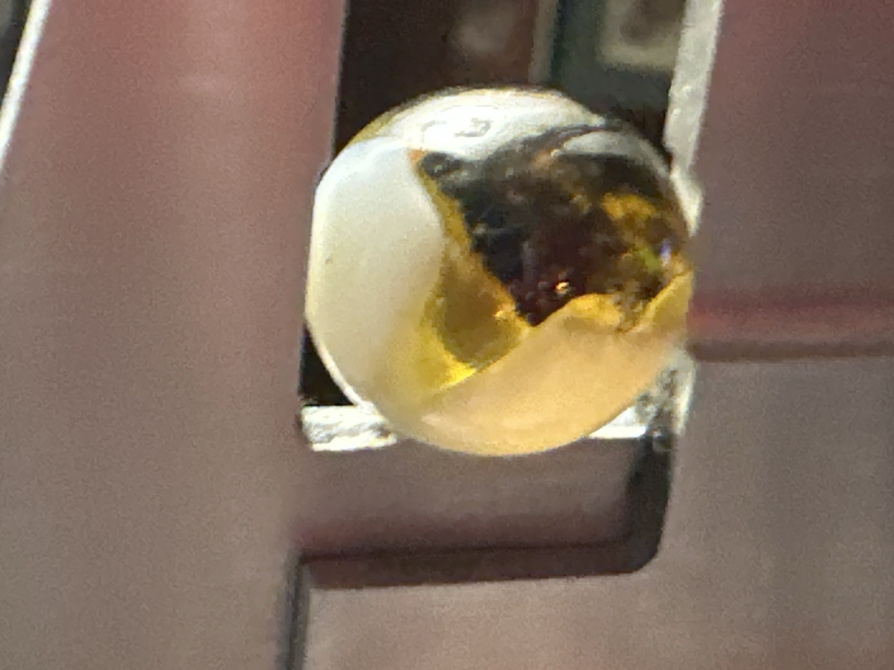 Amber and White Patch by Akro Agate Company, identification view