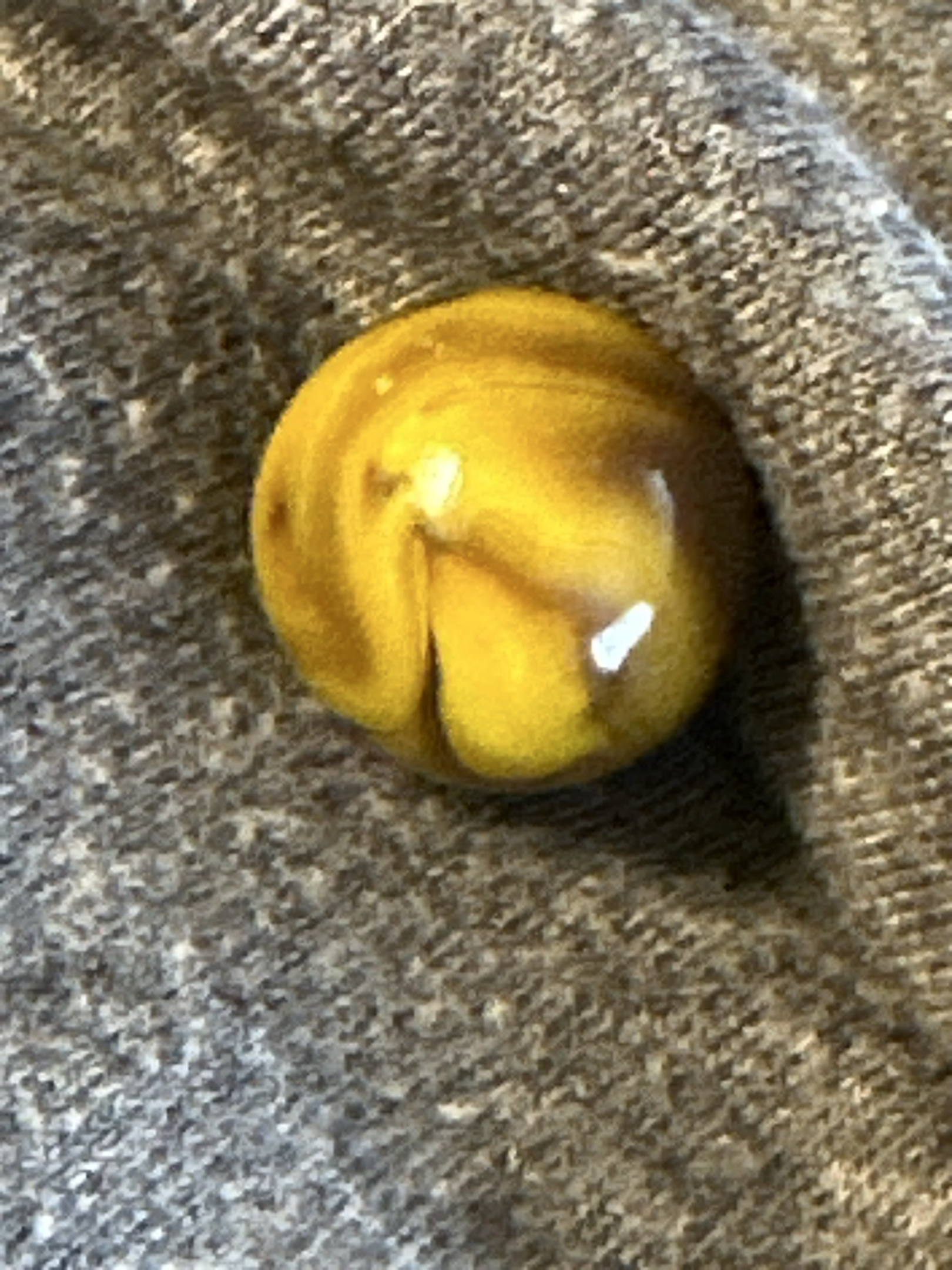 Tiger Eye by Vitro Agate Company