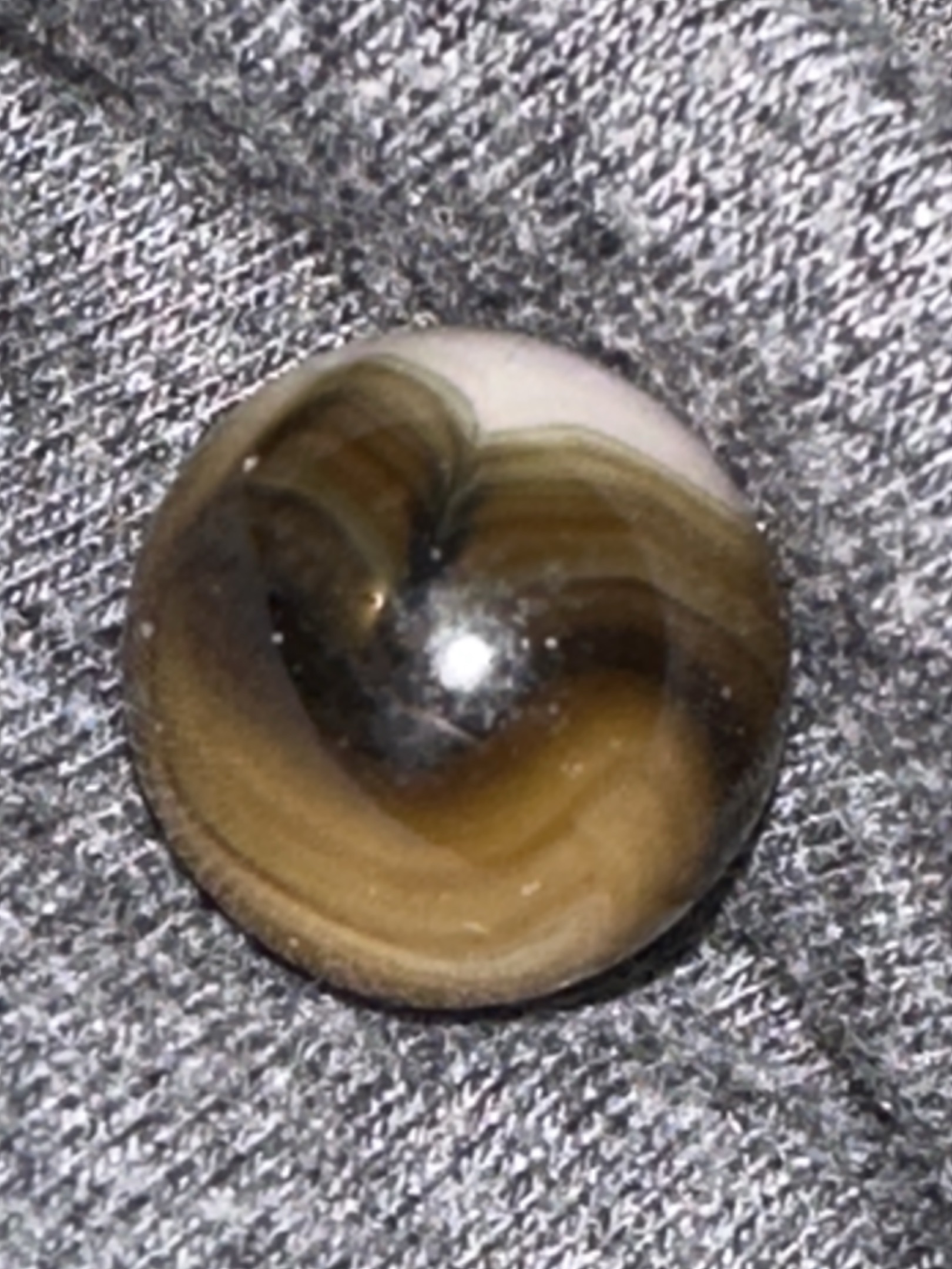 Honey (Dark Variant) by Peltier Glass Company