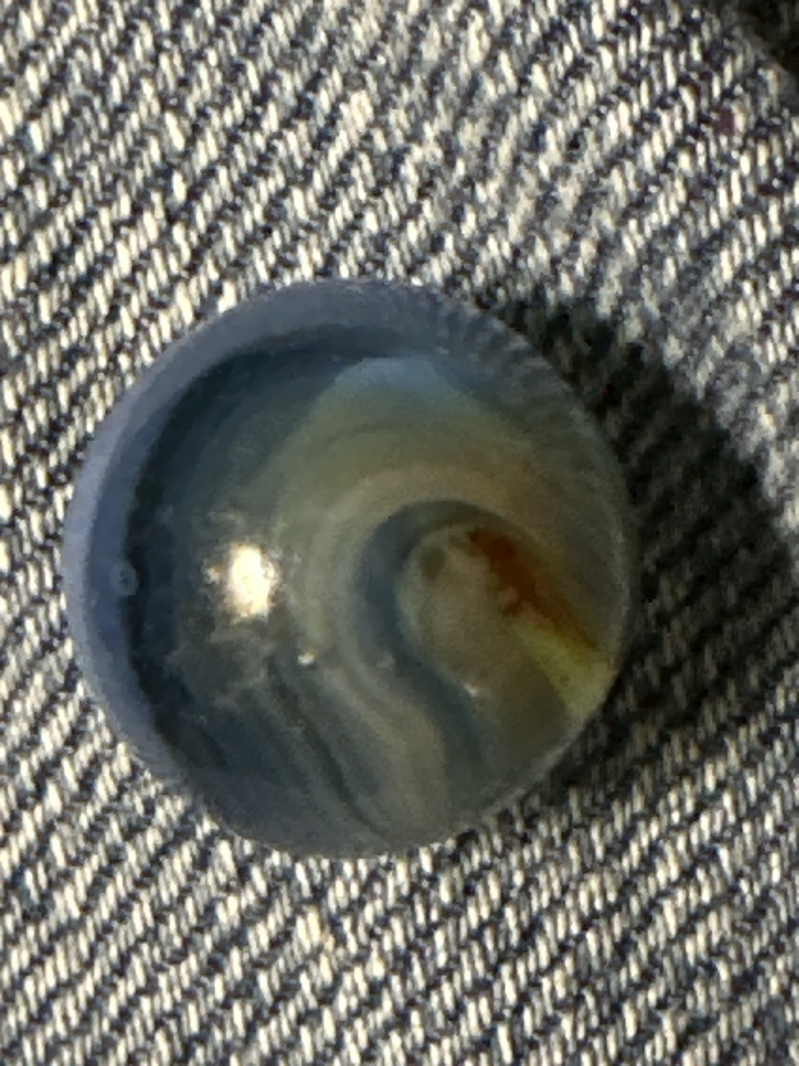 Multi-color Swirl by Alley Agate, identification view