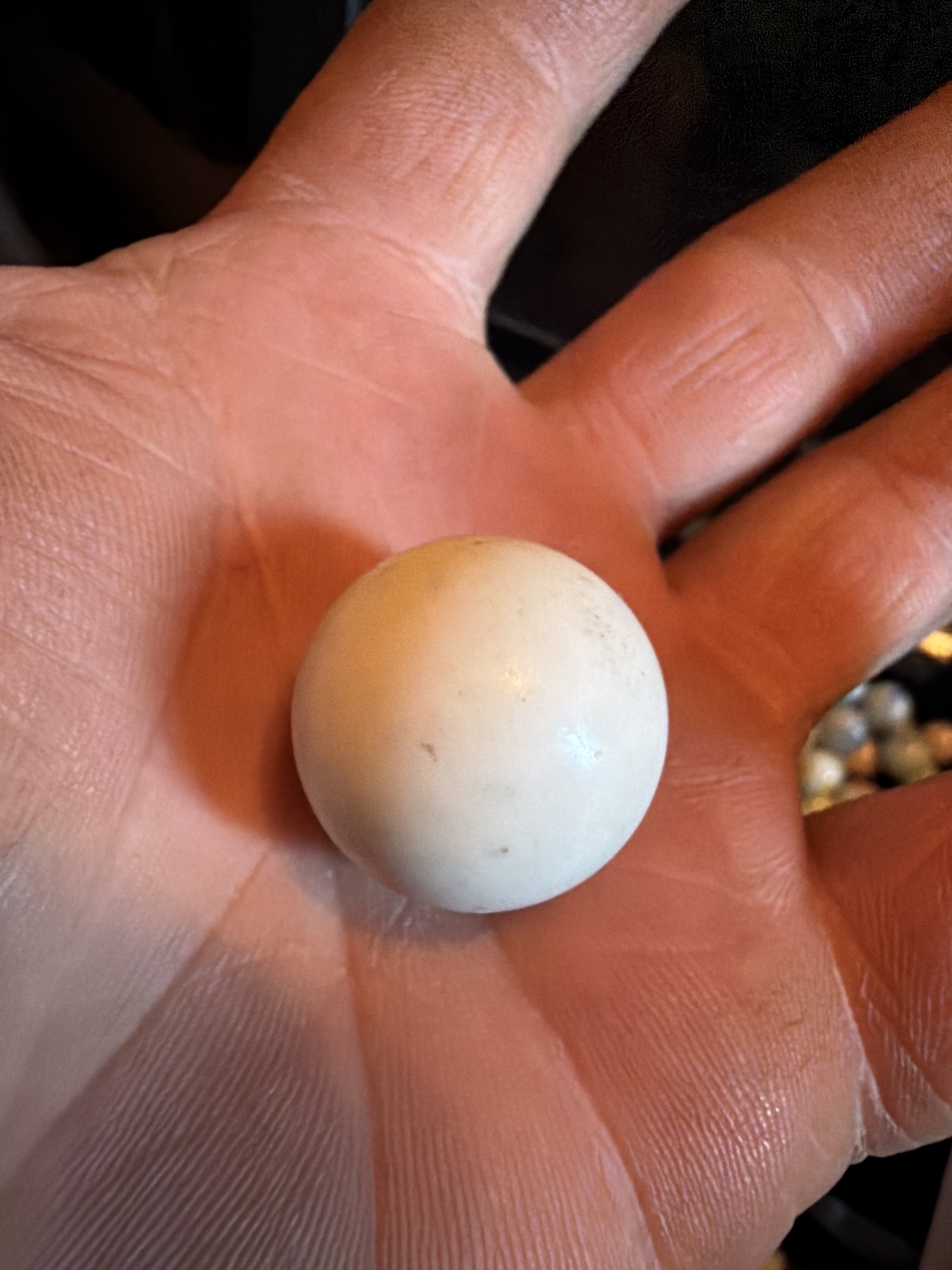 Common White Clay by American Marble & Toy Mfg. Co. (and others)