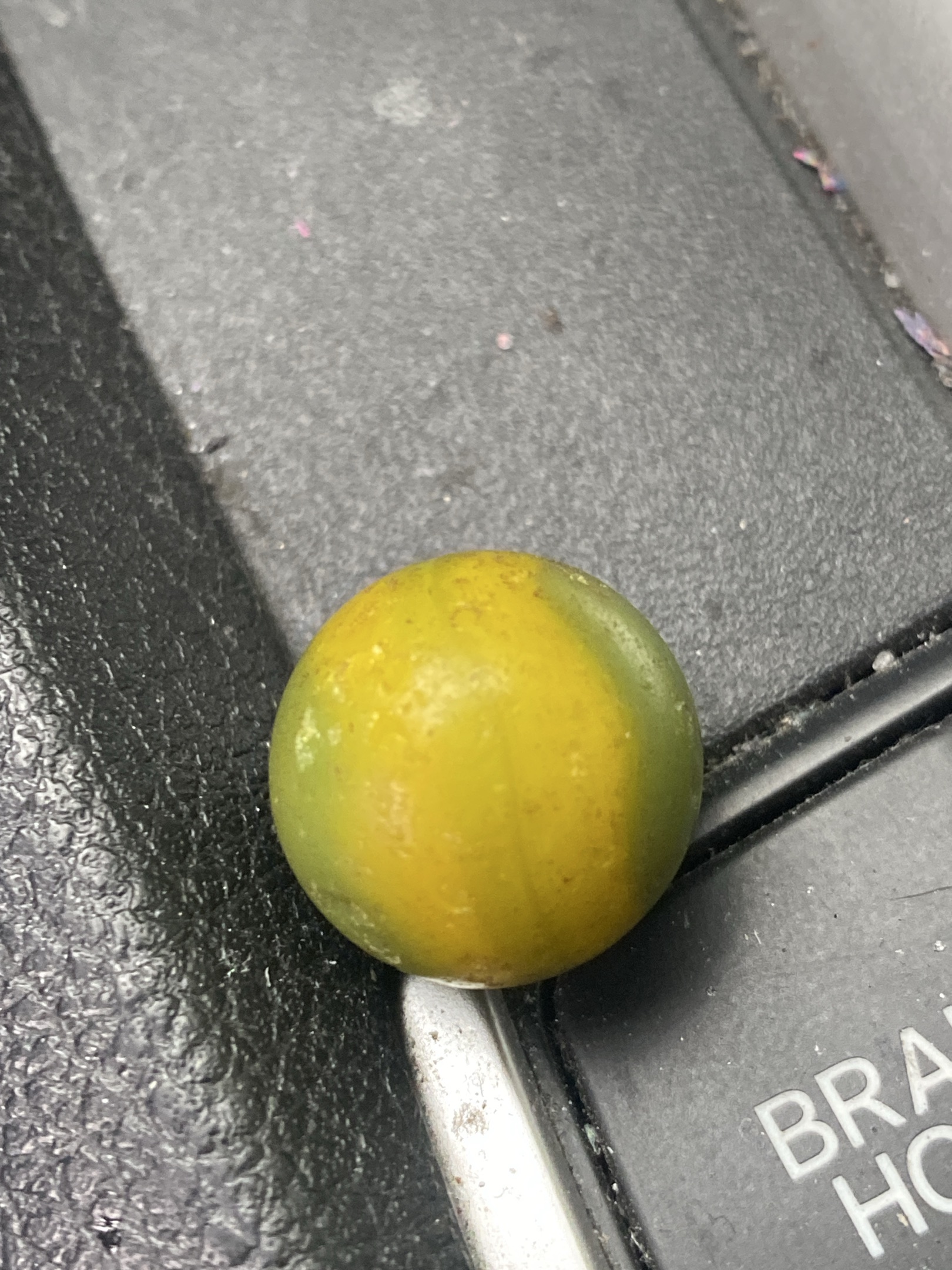 Two-Tone Dyed Shooter by American Marble & Toy Manufacturing Co., identification view