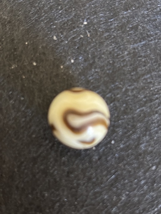 Brown and White Swirl - Caramel Swirl by Alley Agate, identification view