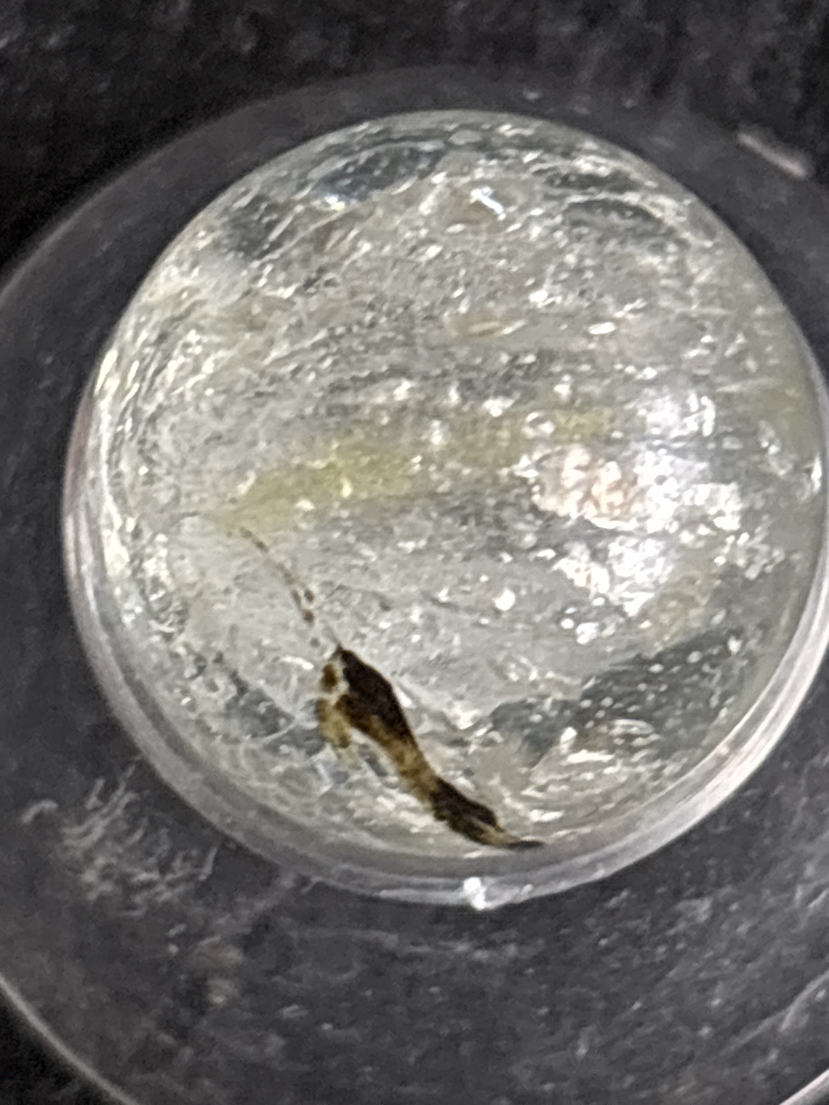 Clear Clearie by Vitro Agate