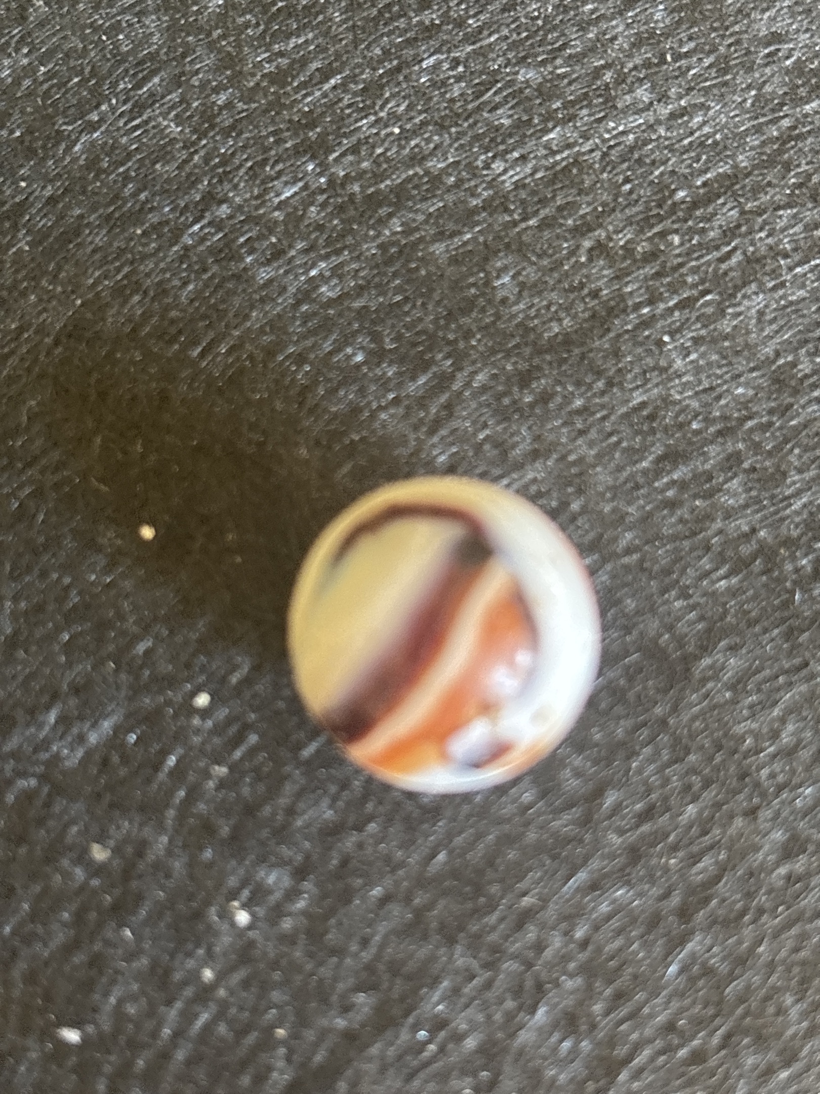 Corkscrew Special - Red and Black on White by Akro Agate