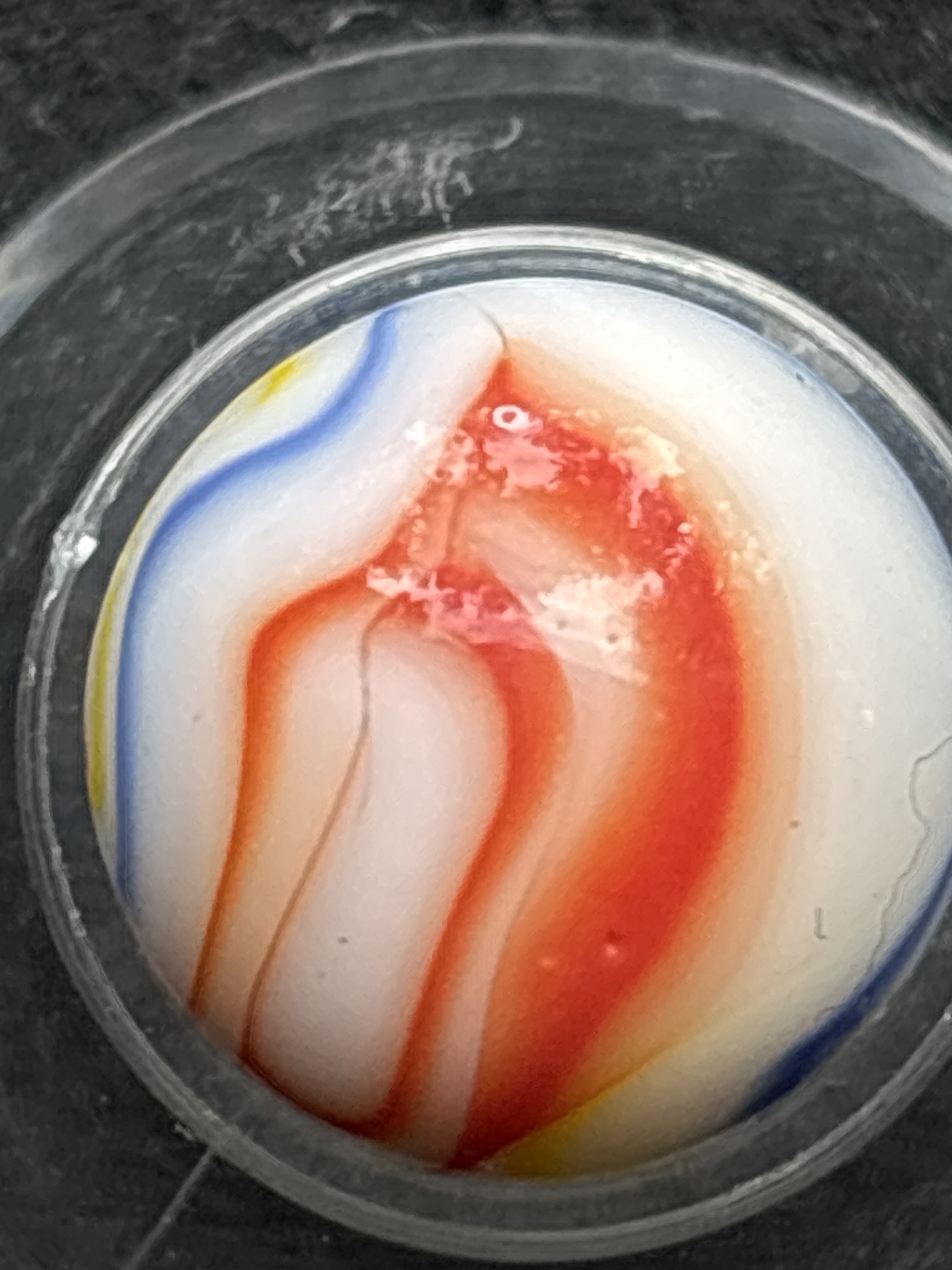 Egg Yolk Tri-Color Special - Red Blue Yellow by Akro Agate, identification view