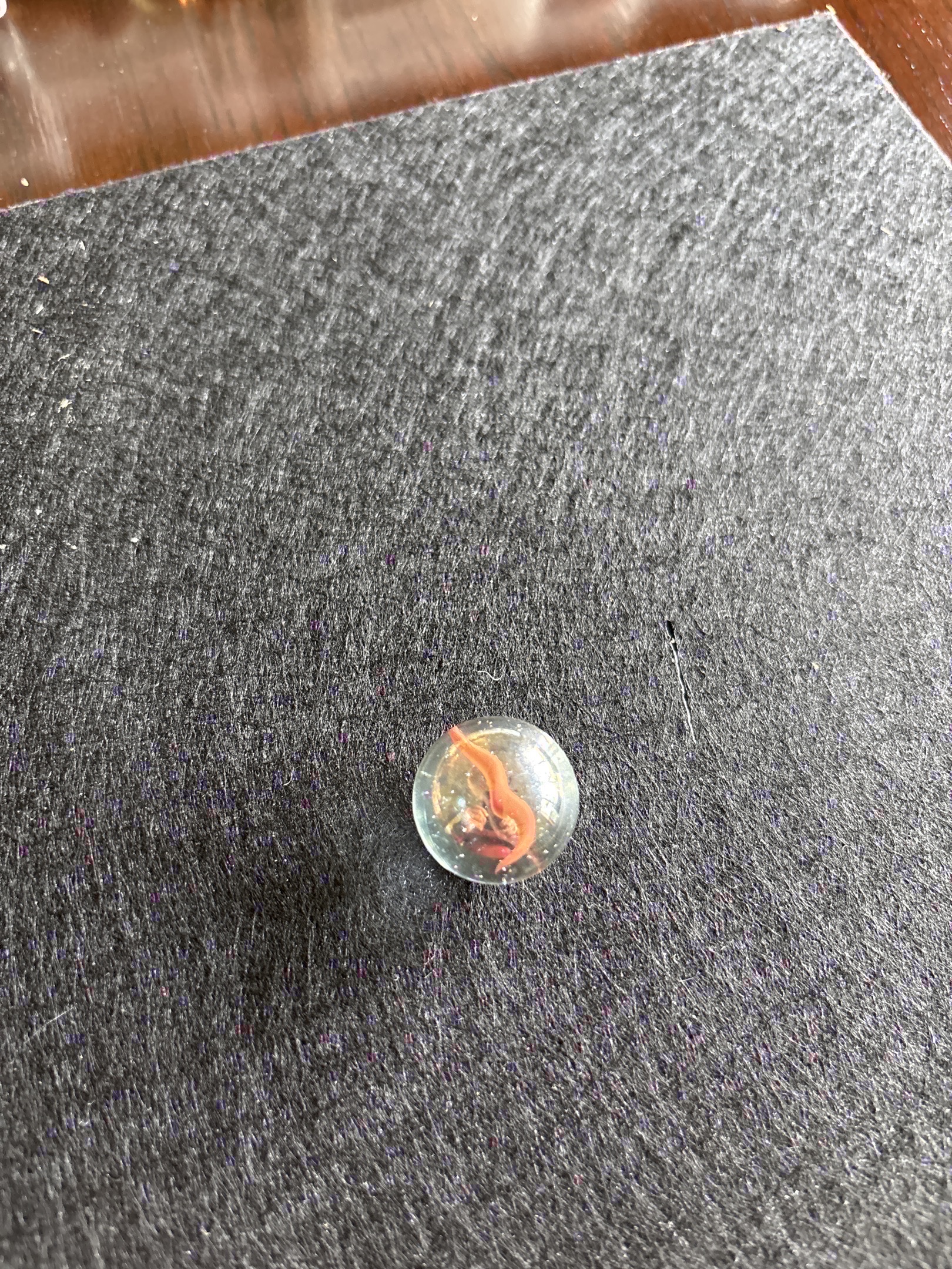 Orange Ribbon Cat's Eye by Vitro Agate, identification view