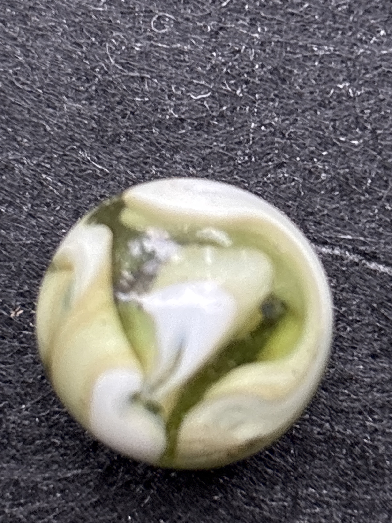 Green and White Conqueror Patch - Limeade by Vitro Agate, identification view