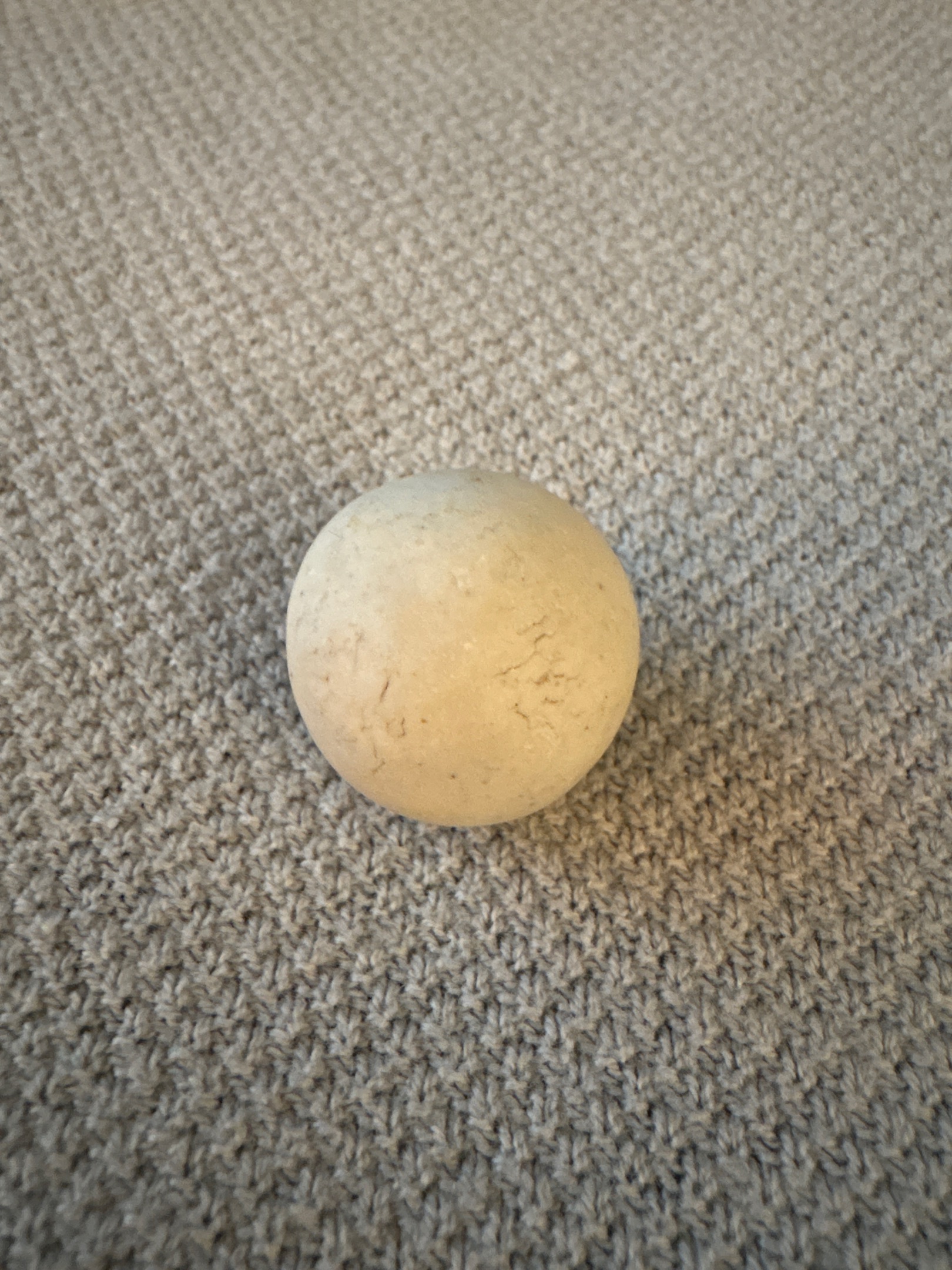 Common White Bisque by German (Unknown - Thuringia region), identification view