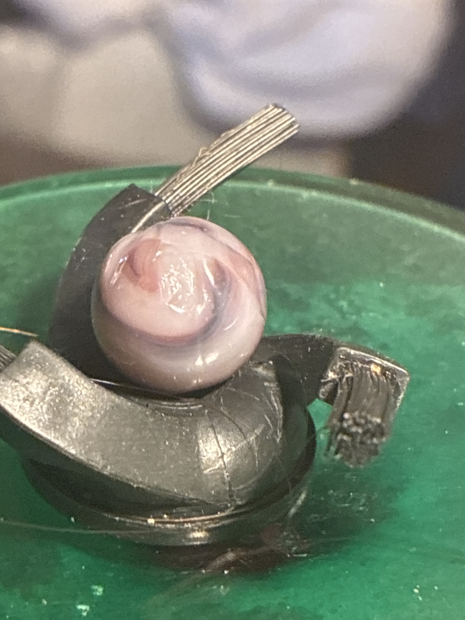 Peach / Lavender Swirl by Christensen Agate Company, identification view
