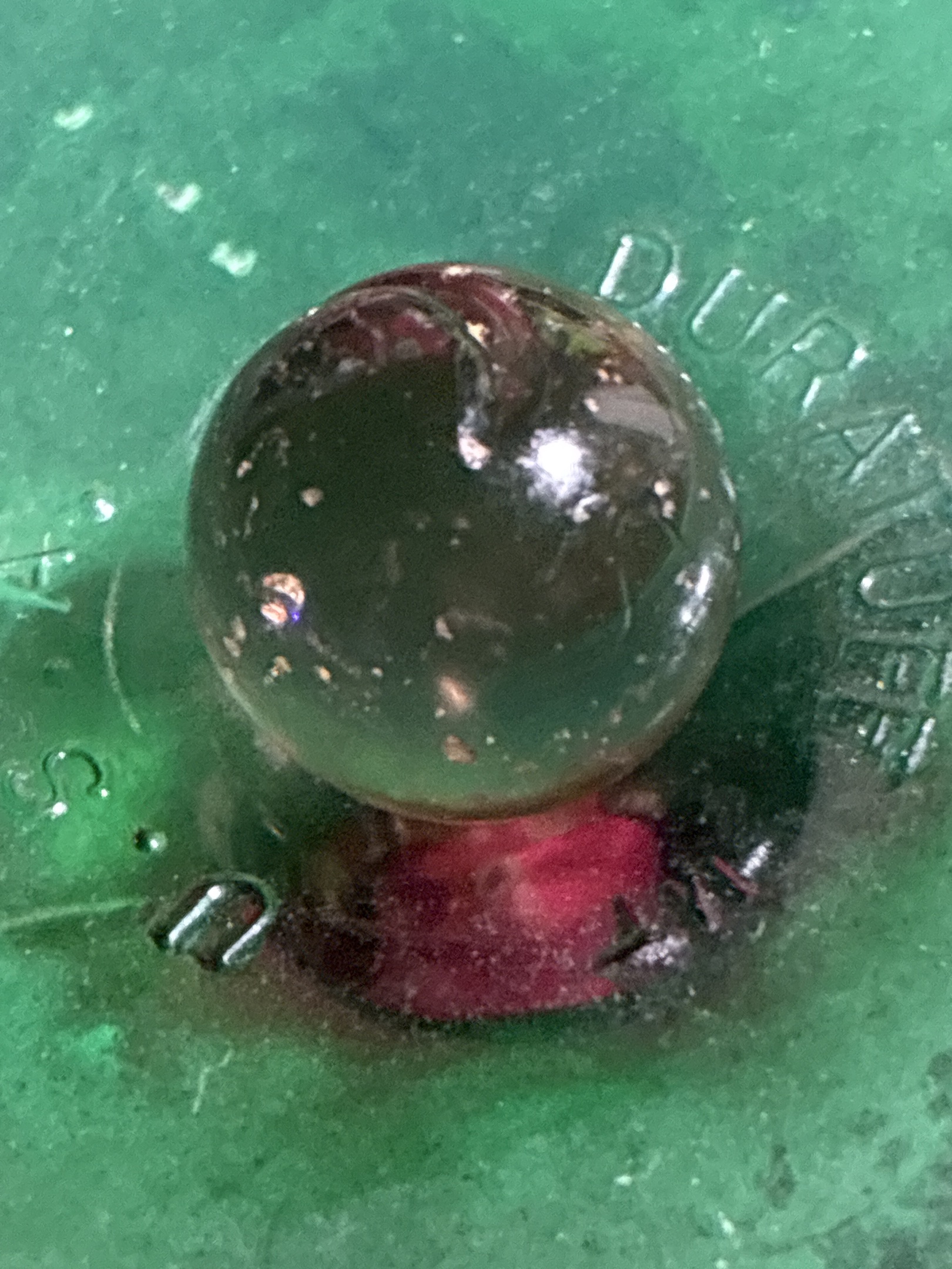 Blackie - Black Cherry Transparent by Vitro Agate, identification view