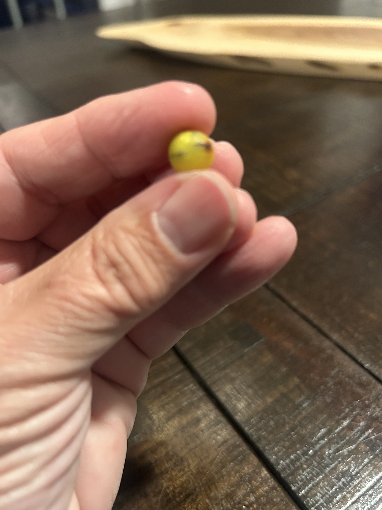 Bumblebee by Peltier Glass Company
