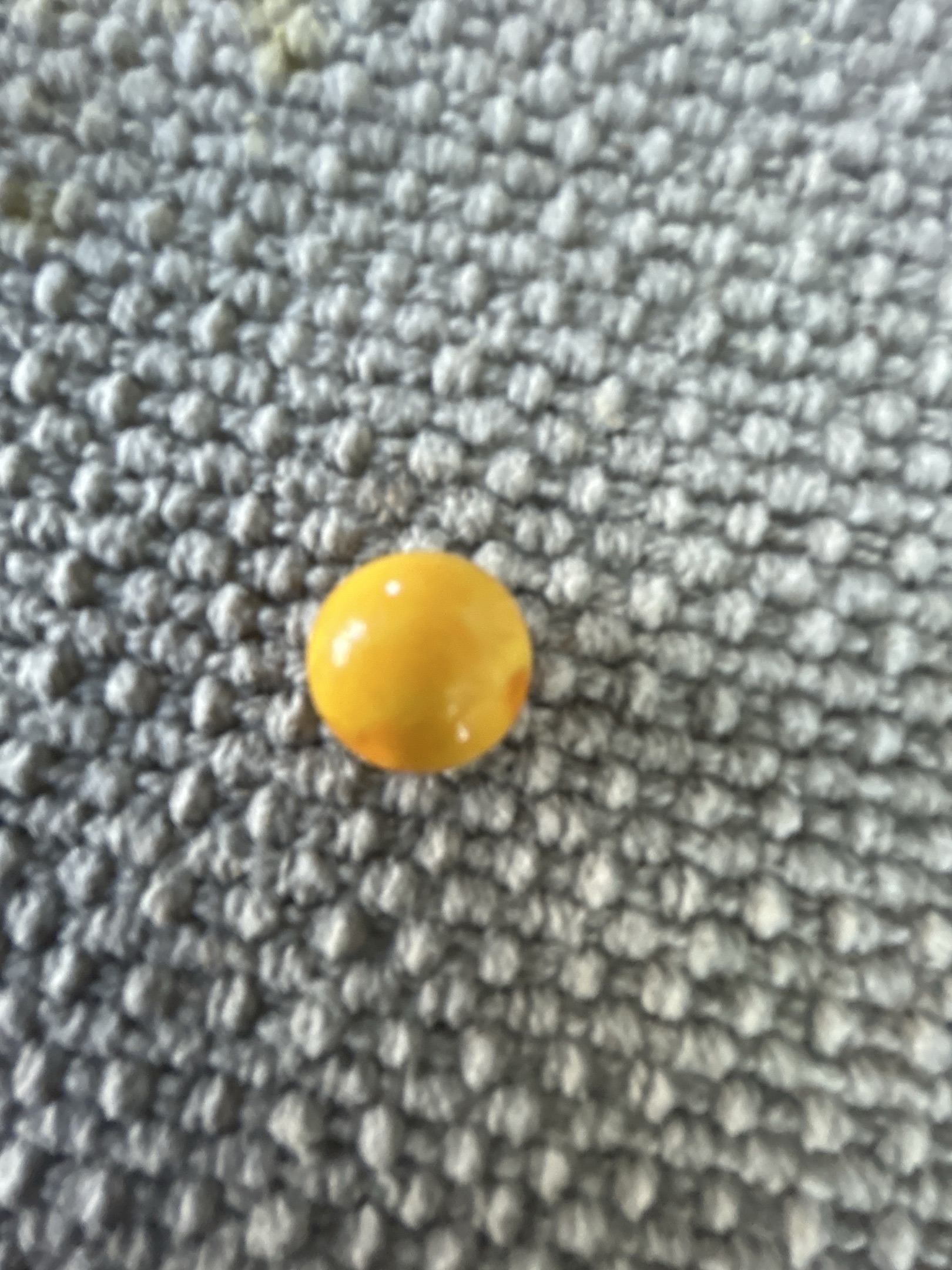 Opaque Yellow by Vitro Agate, identification view