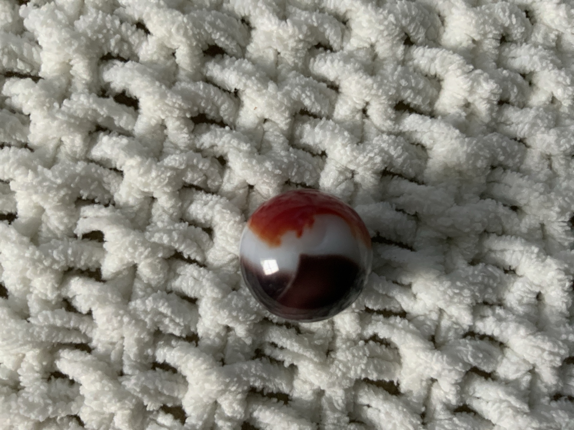 Red and Black Parrot - Tri-Color Parrot by Vitro Agate Company, identification view