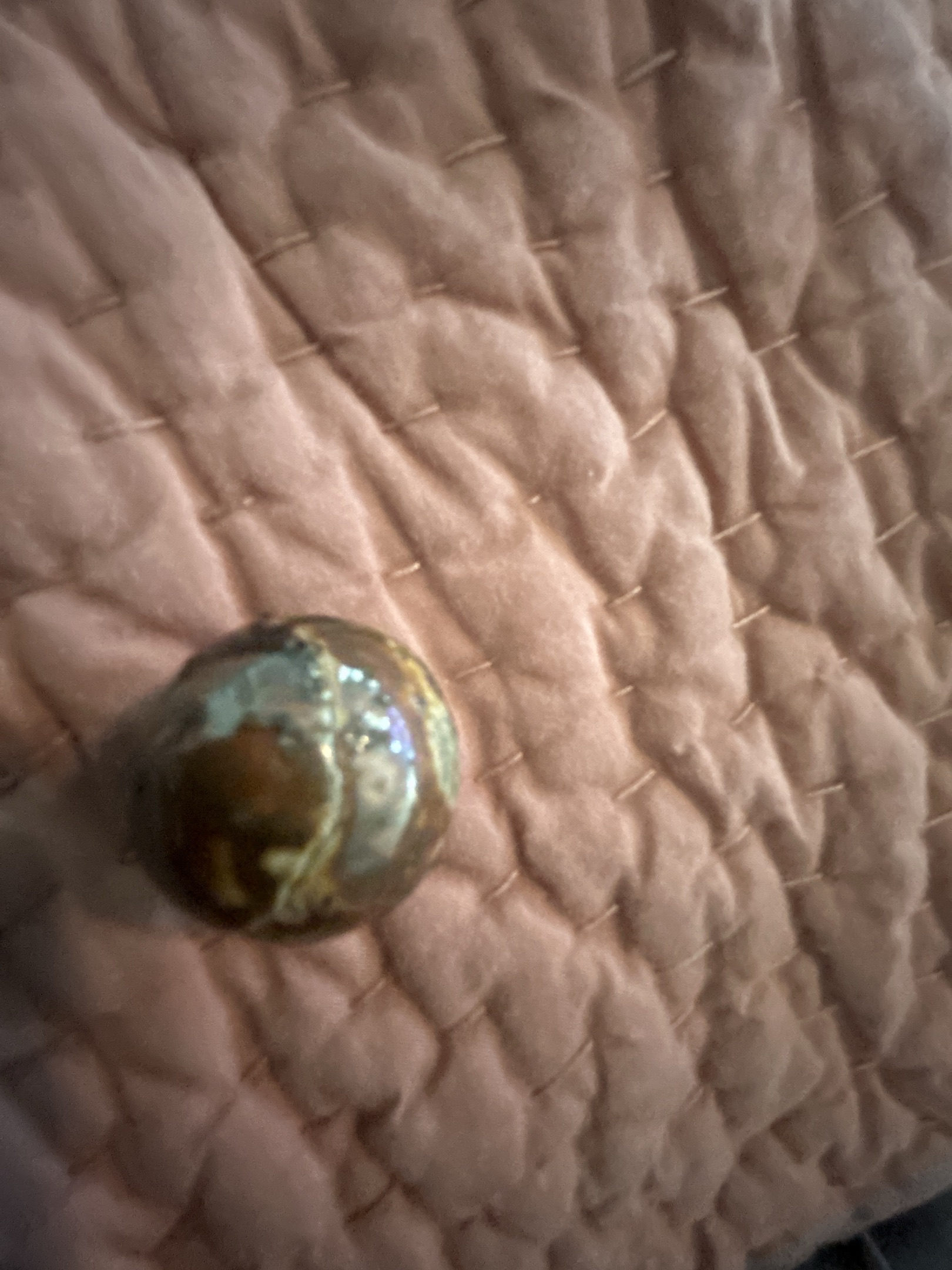 Earth by Vacor de Mexico, identification view