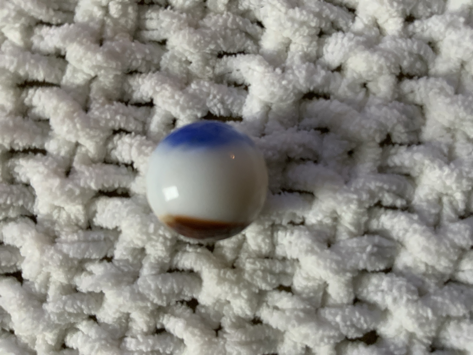 Parrot Patch - Blue and Brown on White by Vitro Agate, identification view