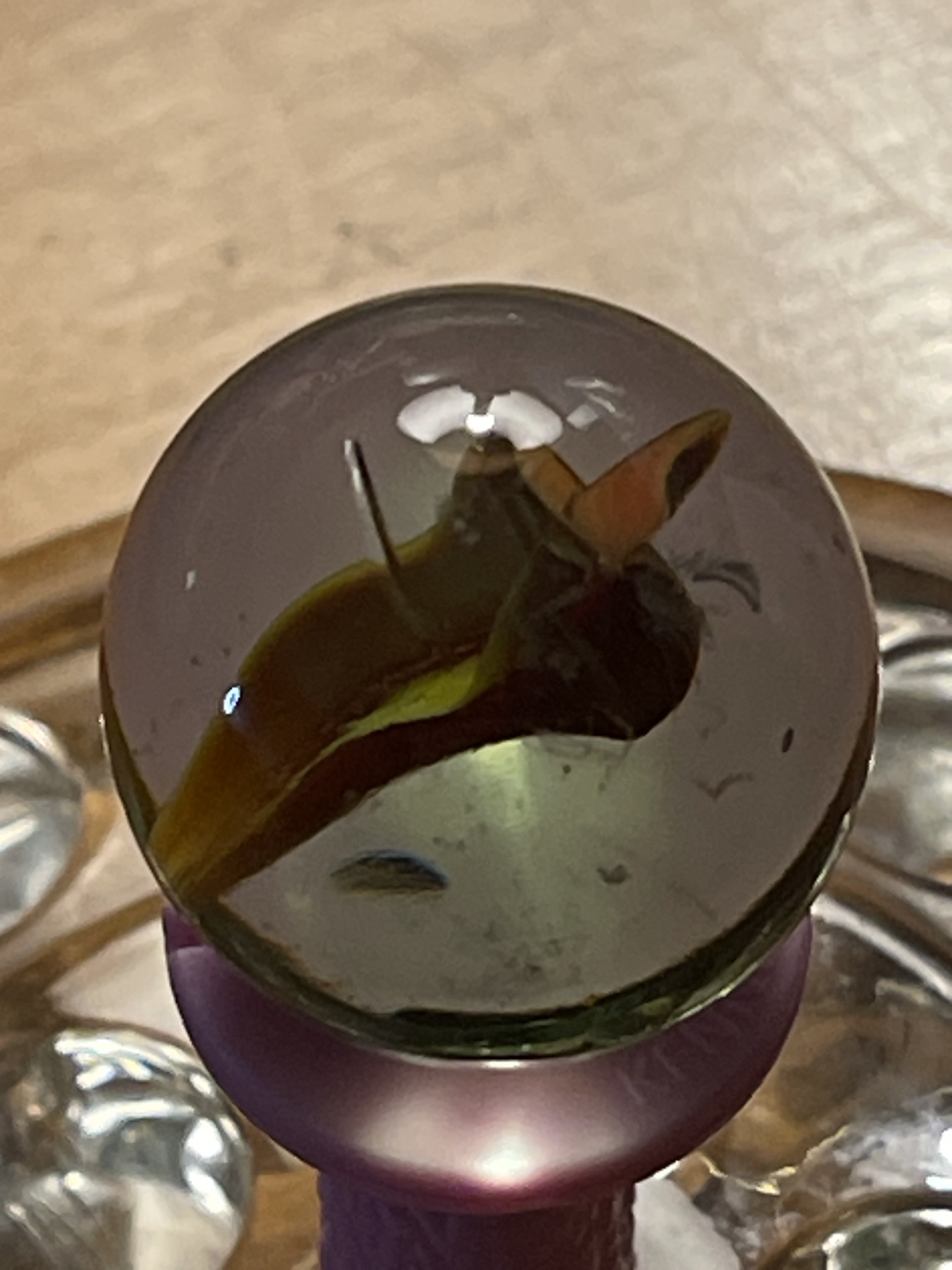 Honey Cat's Eye by Vitro Agate, identification view