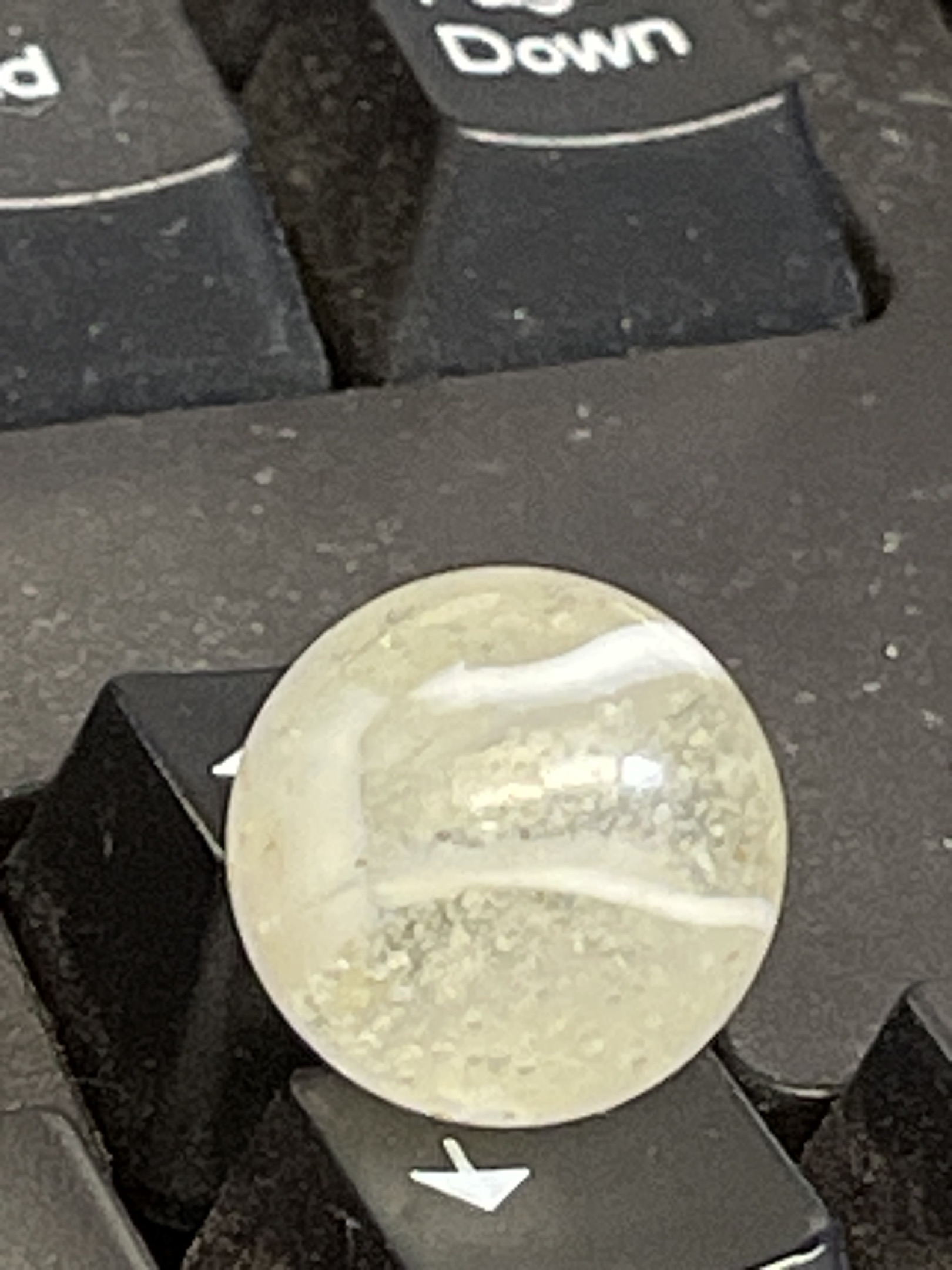 White Vane Clear Cat's Eye by Vitro Agate, identification view