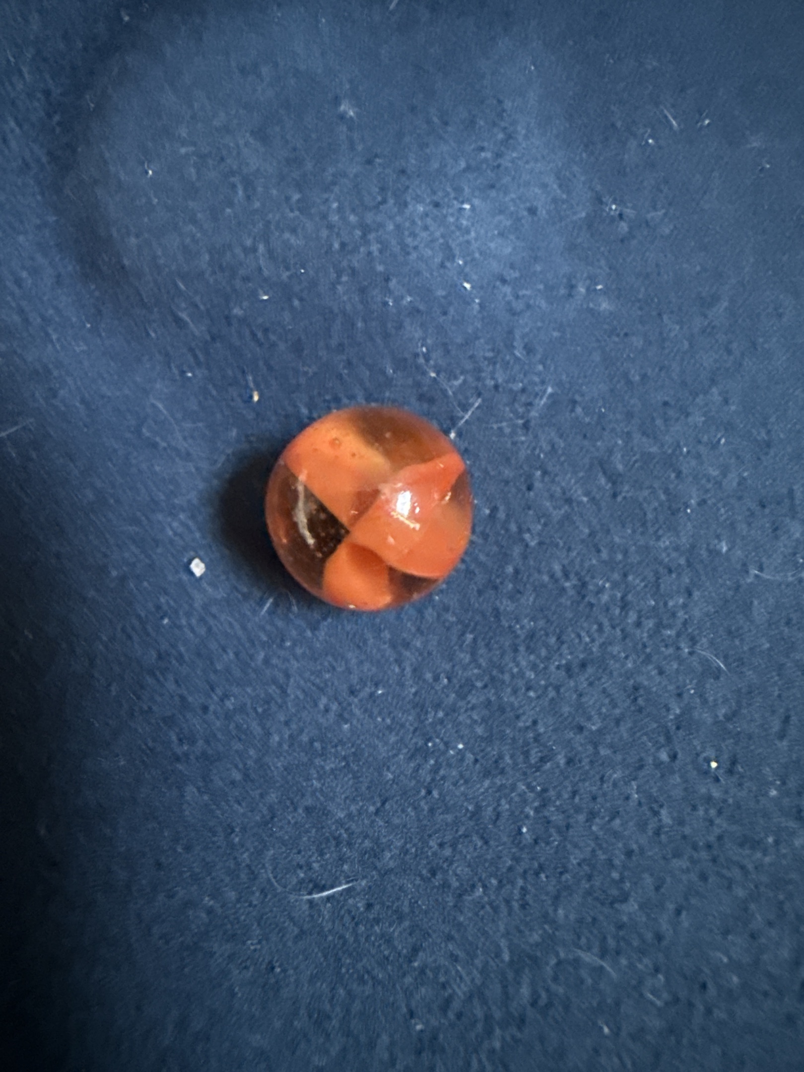 Orange 4-Vane Cat's Eye by Vitro Agate, identification view