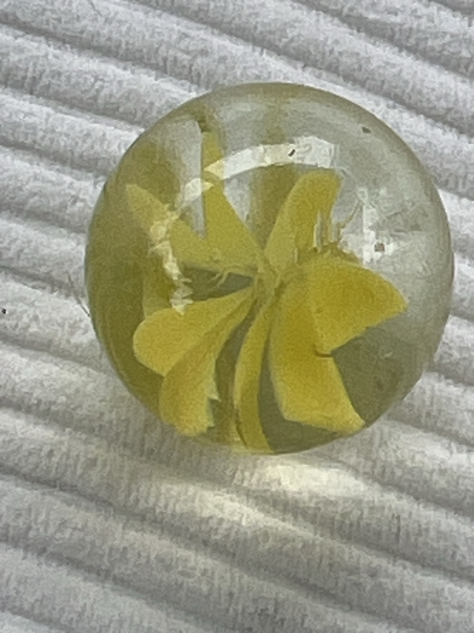 Yellow Cat's Eye (Type I) by Vitro Agate Company