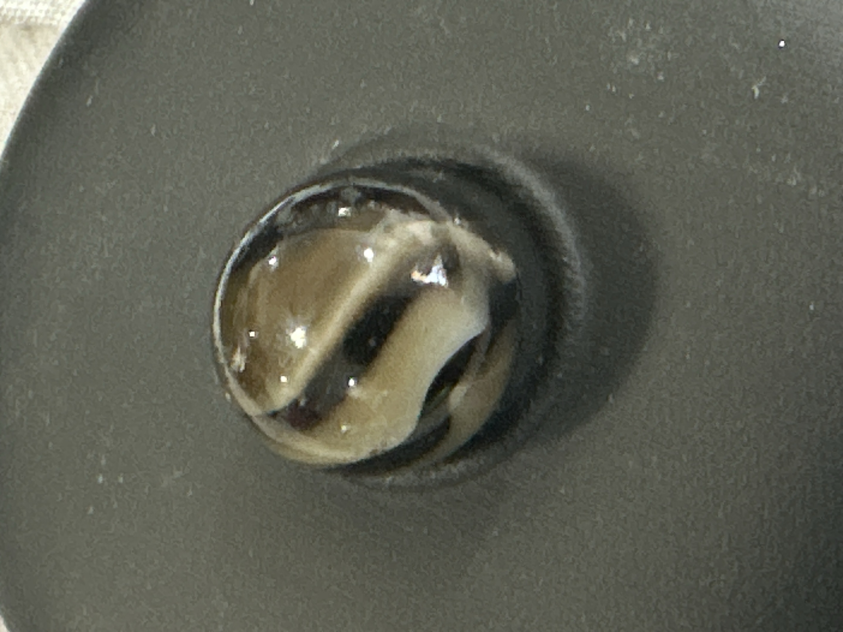 Tan and Black Swirl by Alley Agate, identification view