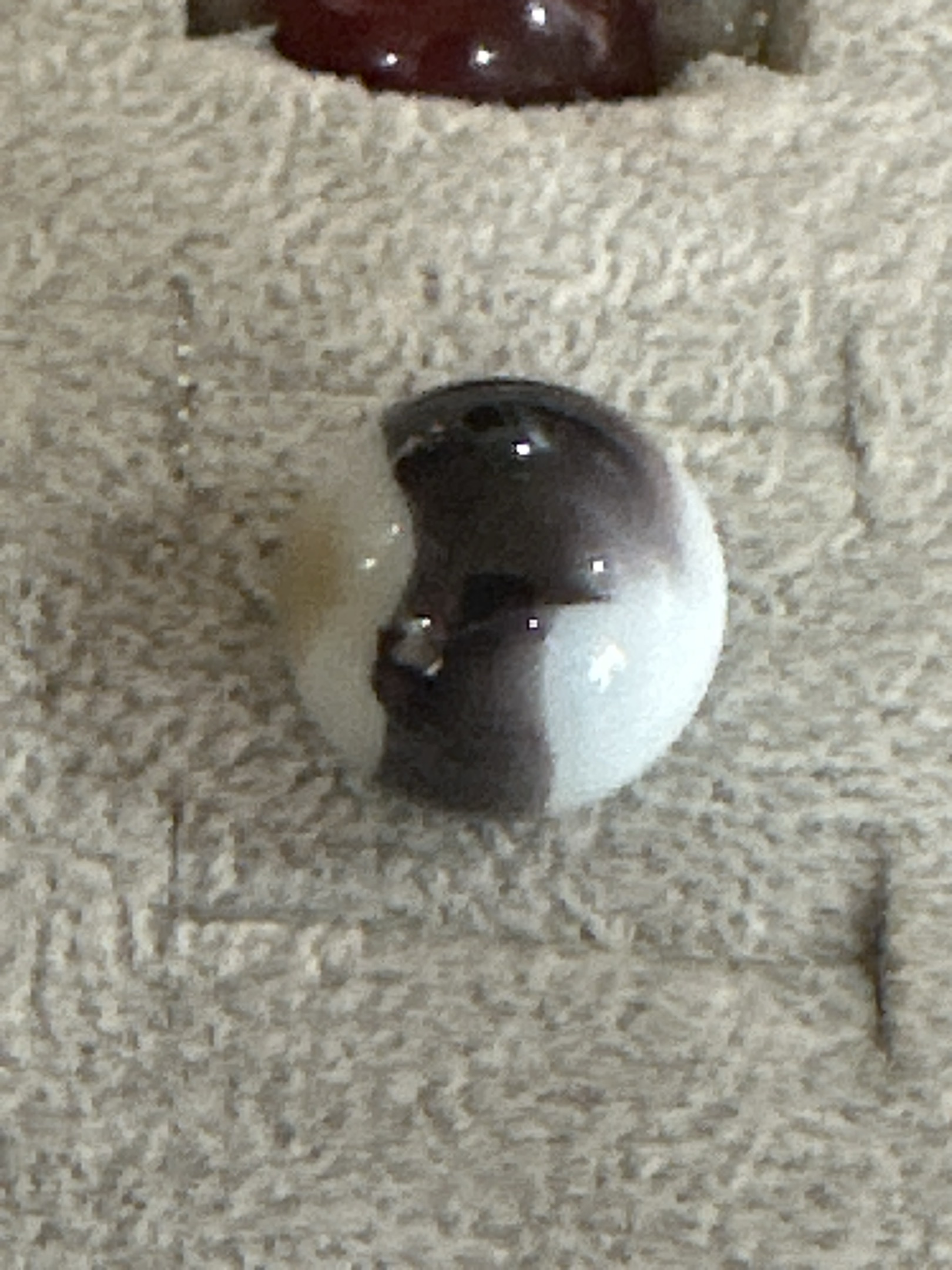 Black Cherry and Cream Patch by Akro Agate, identification view