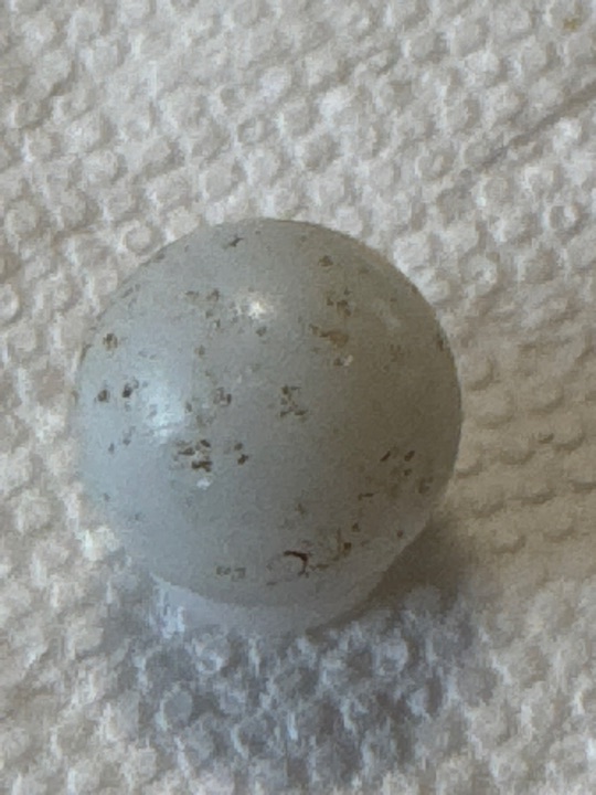 White Bird's Egg Guinea with Brown Speckles by German Handmade, identification view