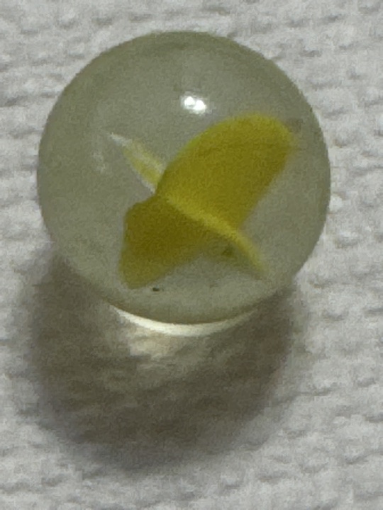 Yellow Single-Ribbon by Japanese, identification view