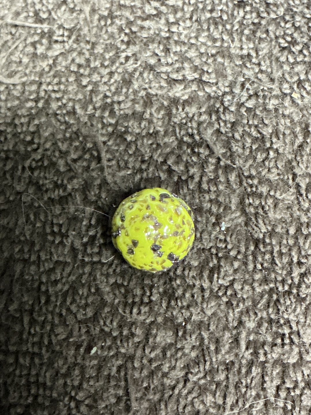 Meteor (Yellow/Green) by Vacor de Mexico (Mega Marbles)